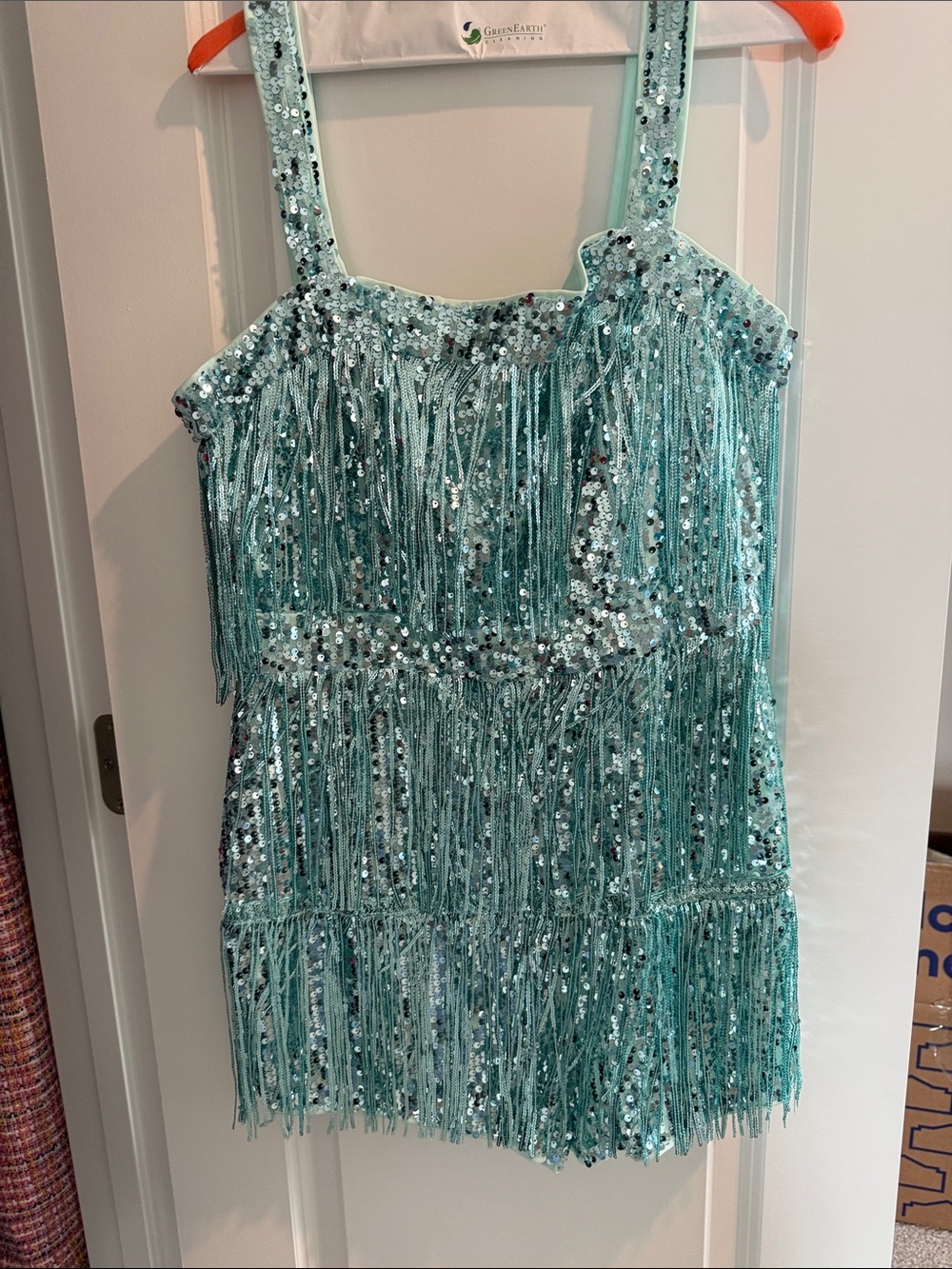 Sequined Fringe Tank Dress in Mint Green